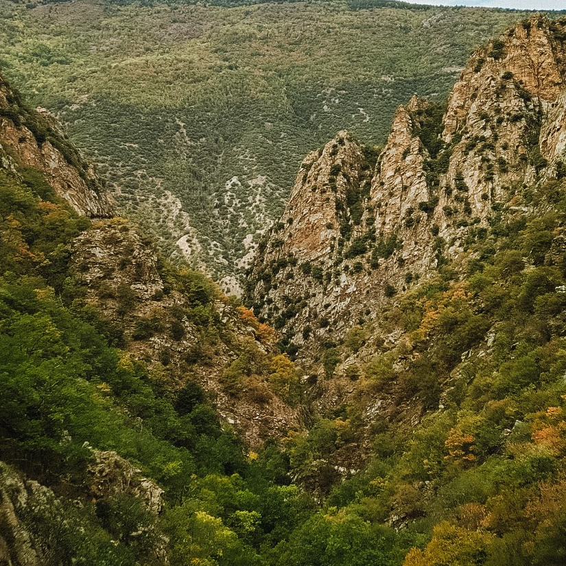 Stevenson.Visual.Lab — Professional Photo/Video in Berlin