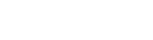 carvalheiro-lens.com