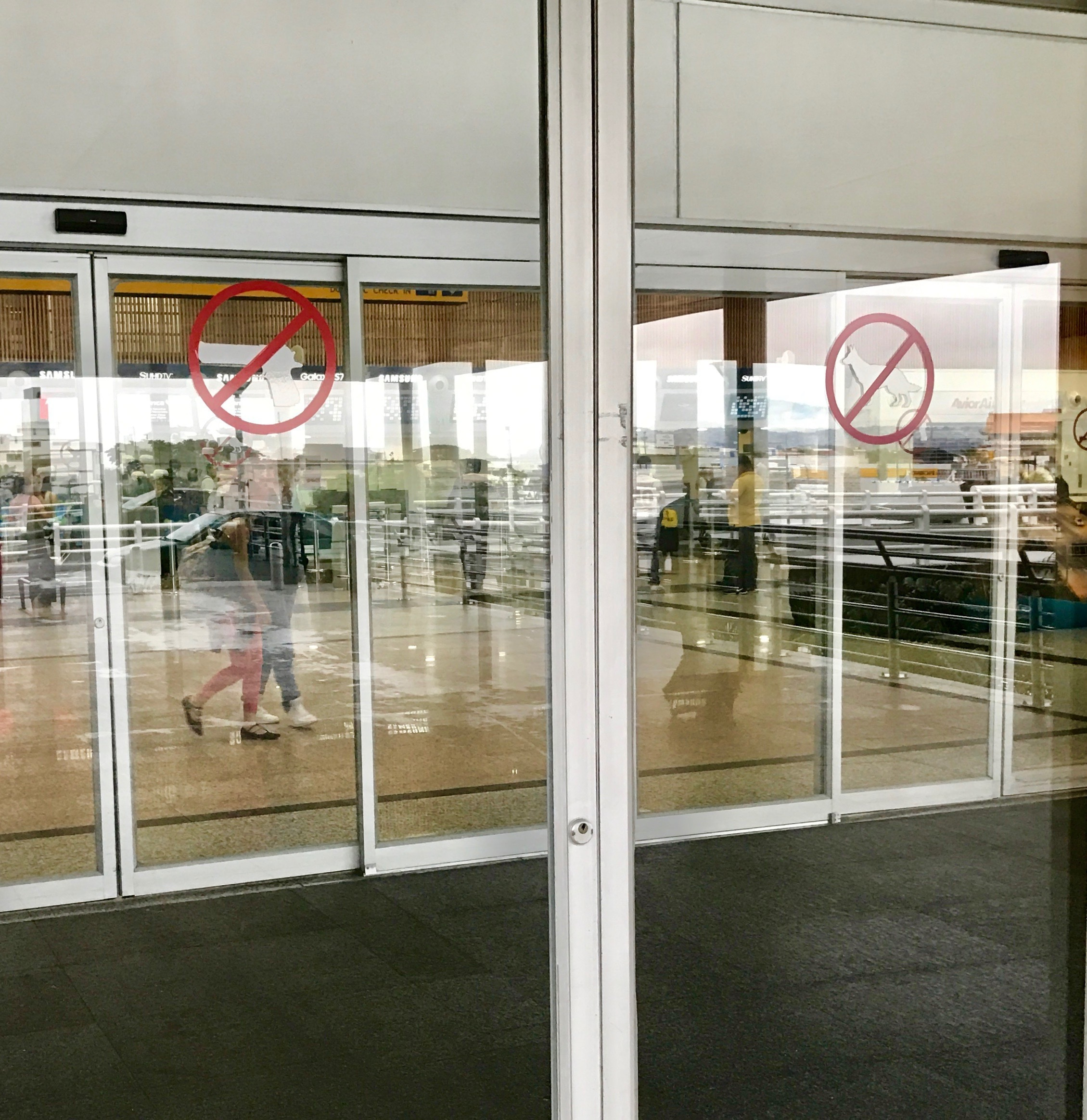 Galapagos. Milok et Kirok sont des gens positifs et réels. Nous serons ravis de v