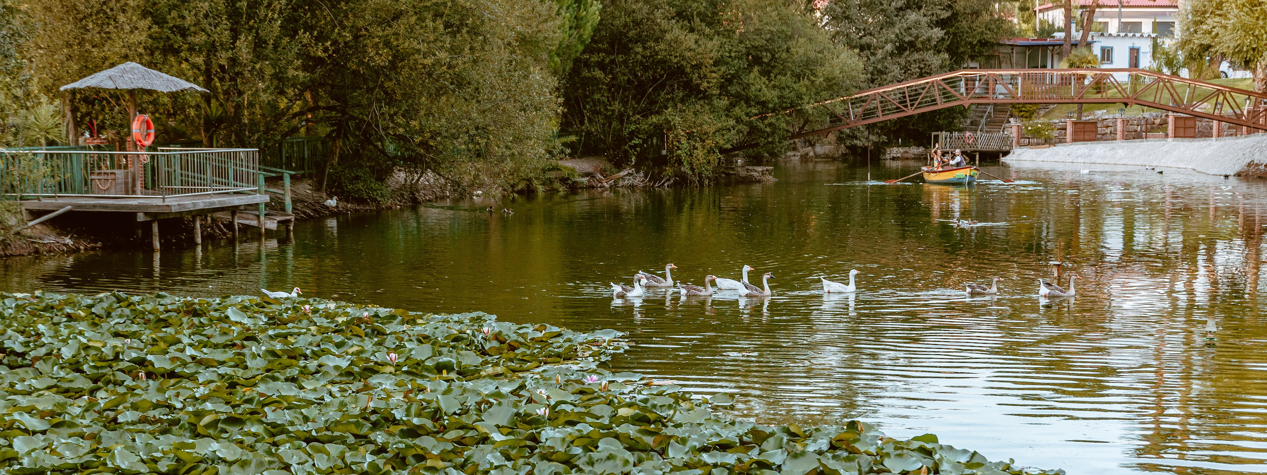 Galeria e Filme Casamento Quinta Júlia dos Ovos. Luxury Wedding Photographer & Cinematography | Ricardo & Mary Pictures