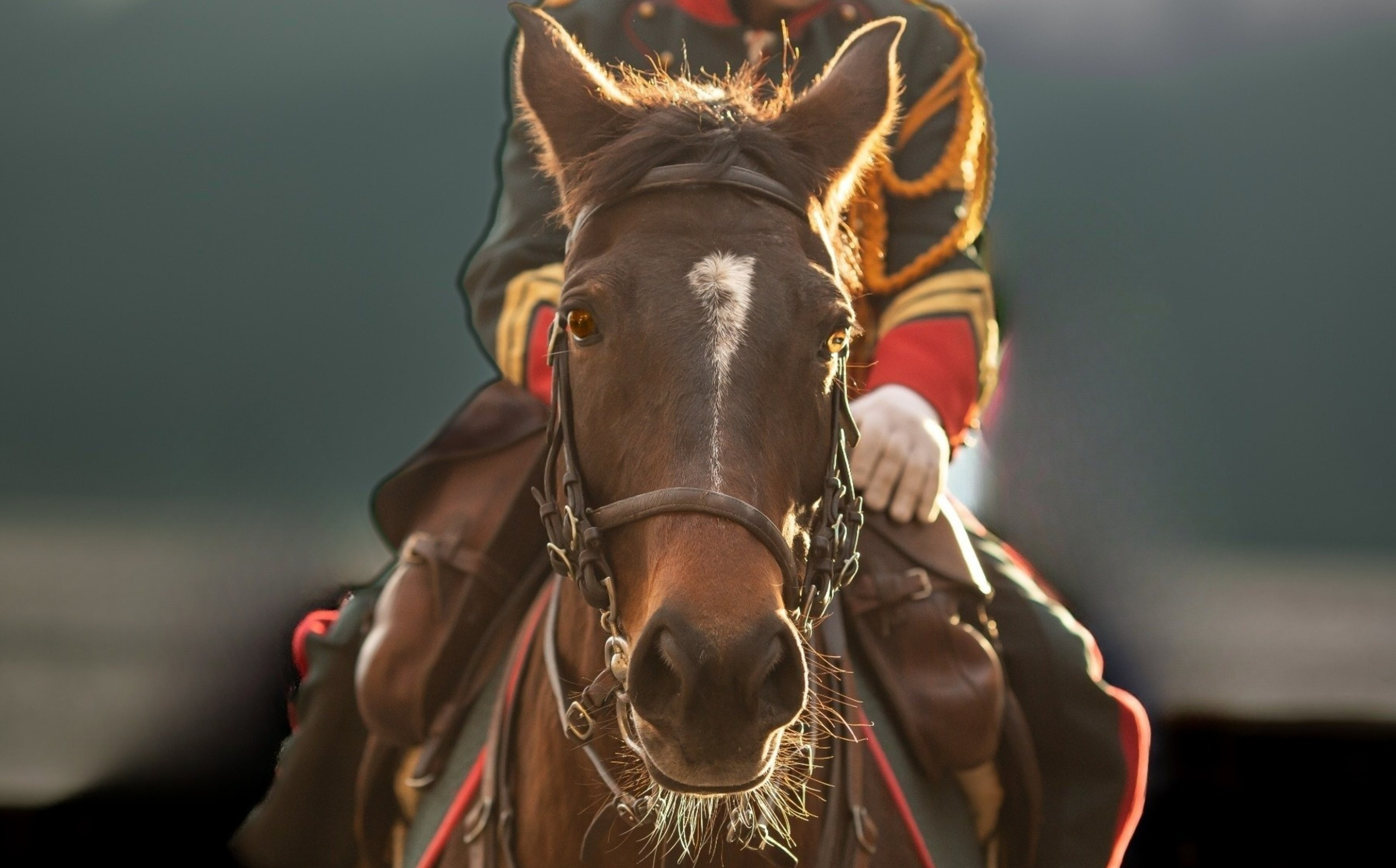 Beauty hunters. Portret photographer in Switzerland Artur Magpie
