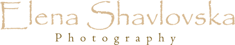 elena-shavlovska.com