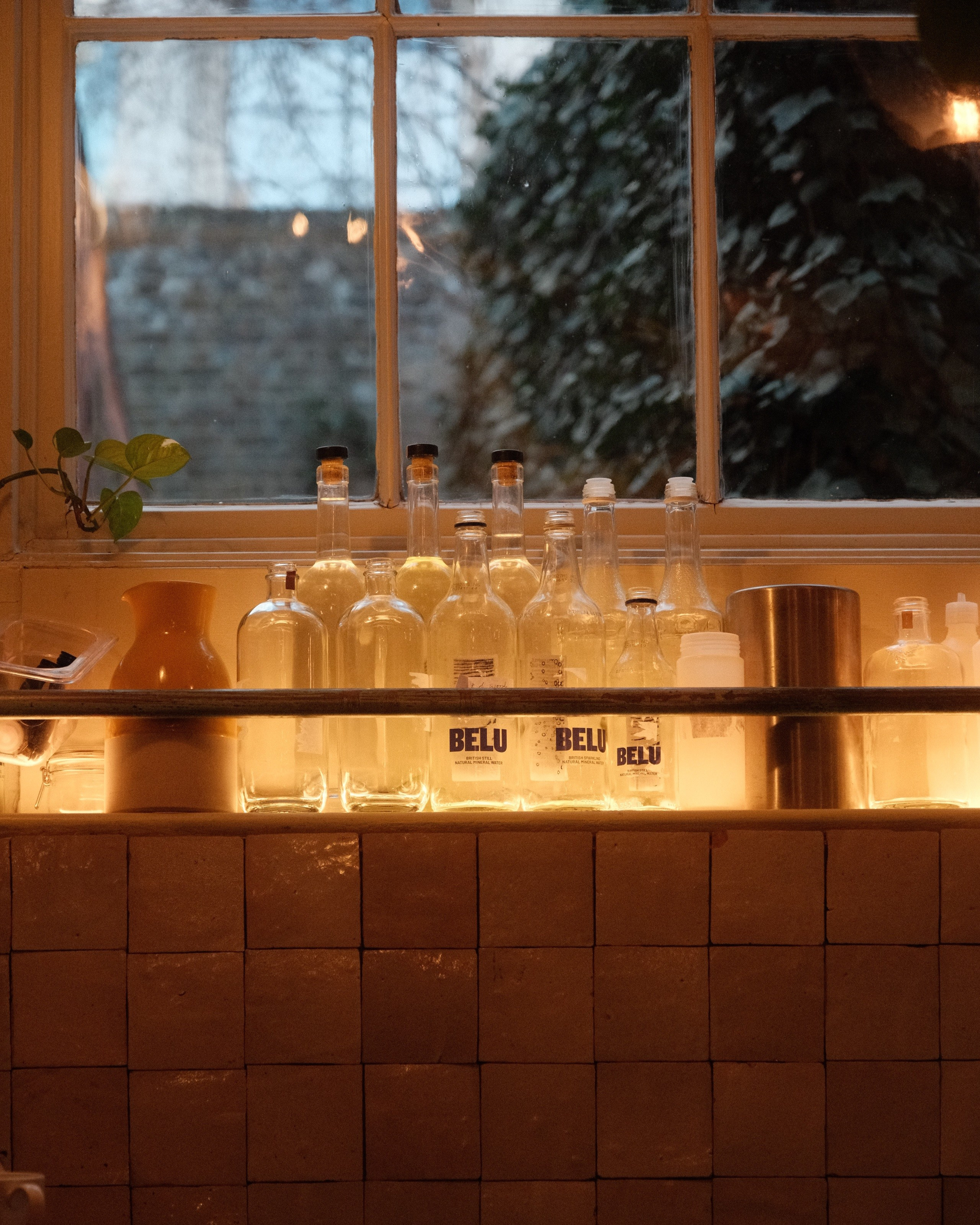 Reggie’s Portra. A Fujifilm Custom Recipe I Keep Coming Back To. Cal Takes Photos