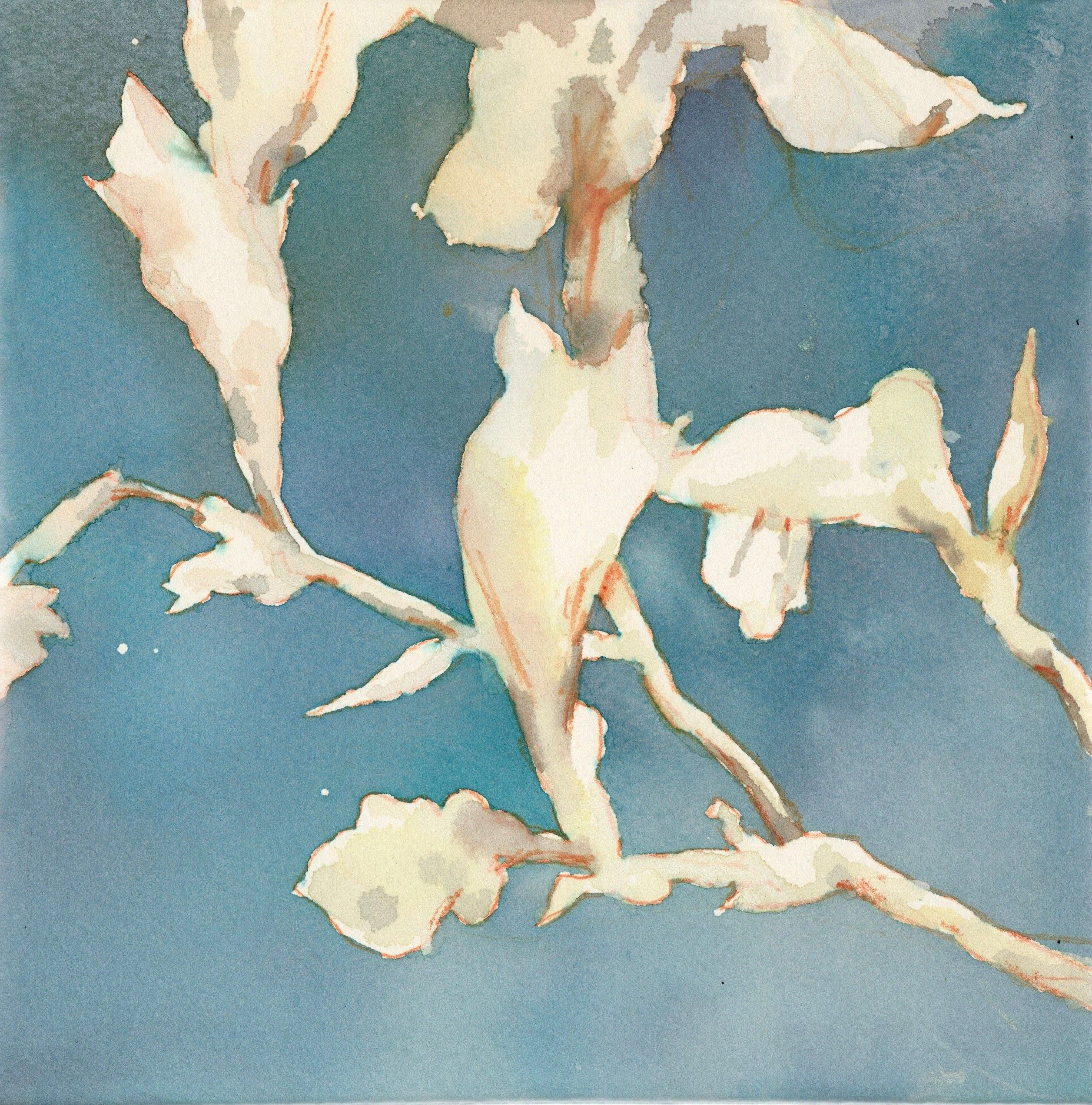 Частный парадайс | 2025. Alina Kugush