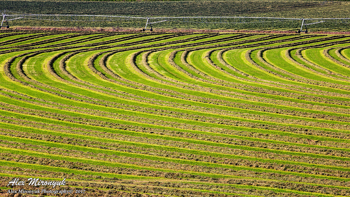 Recommended Equipment. Pet, Senior, Landscape, portrait studio, photographer in Miami and Sou