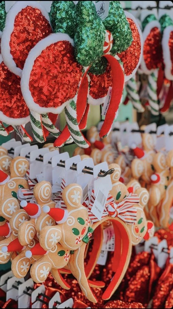 Disneyland Paris · Christmas Fantasy Sessions 2024–2025. Photographe à Paris