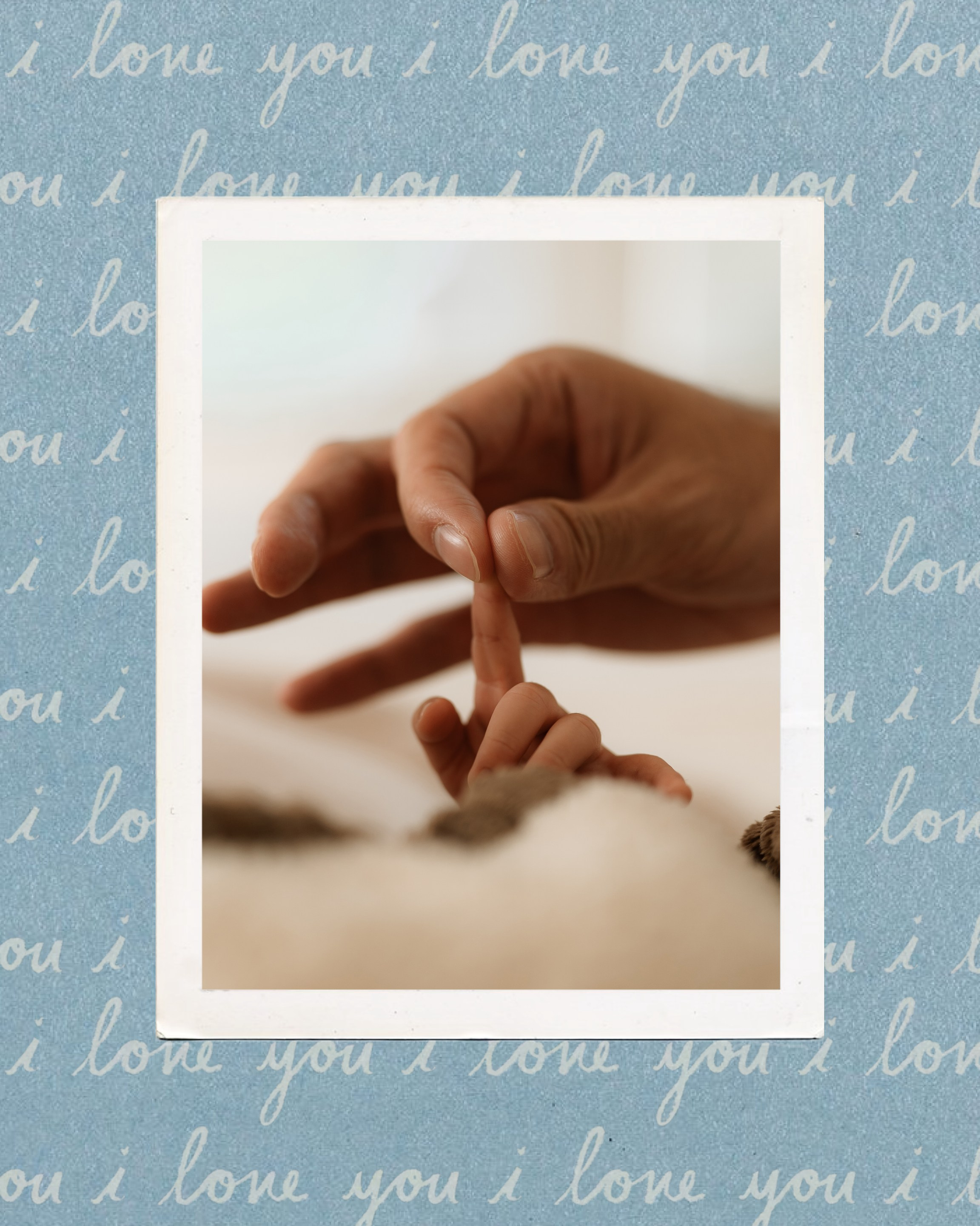 Bay Area Family, Maternity & Newborn Photographer | Ainura Photography