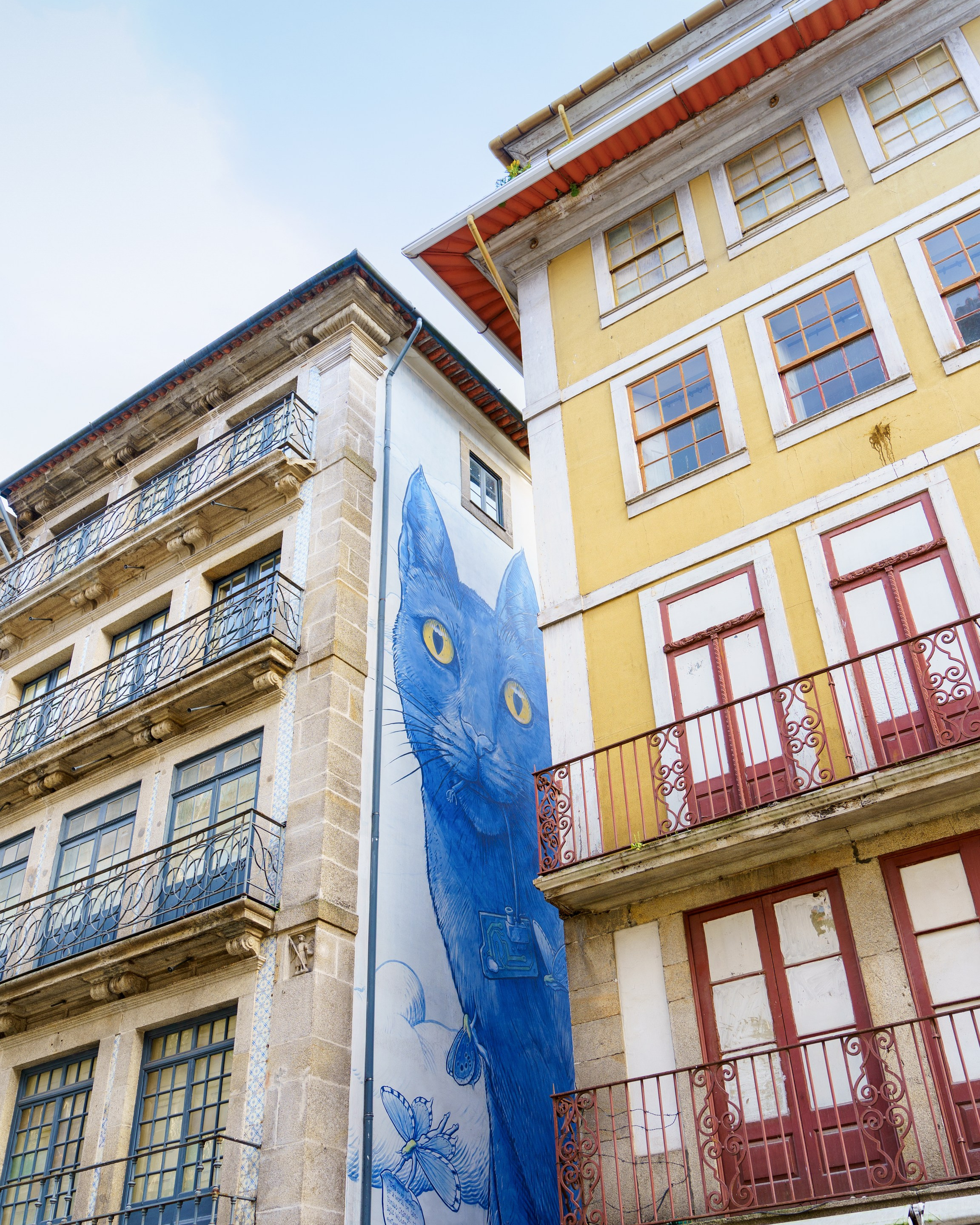Top 25 places in Porto. Photo and video shoots, photo tours in Portugal — WePortugal