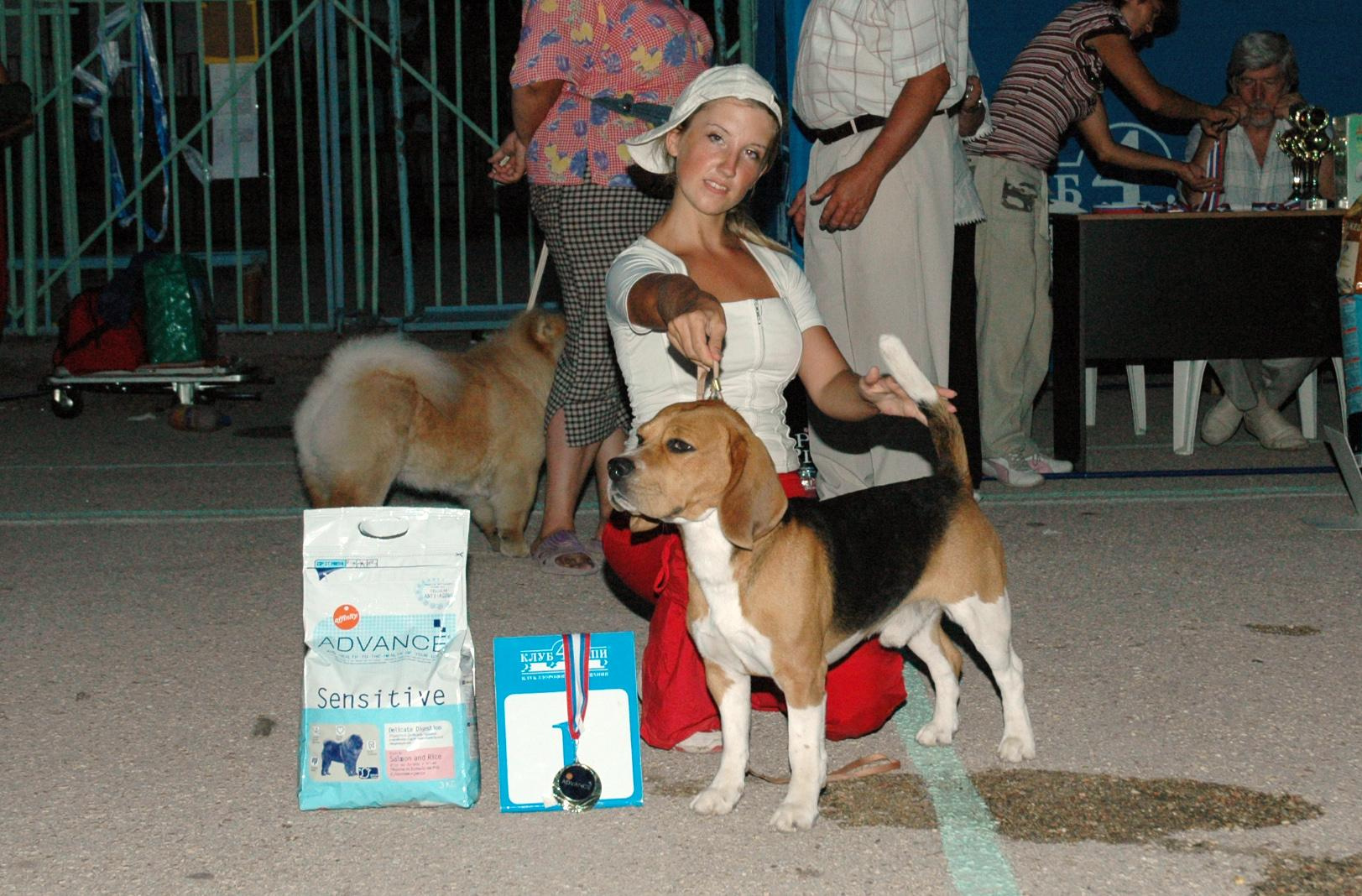 Про нас. Розплідник біглей в Україні