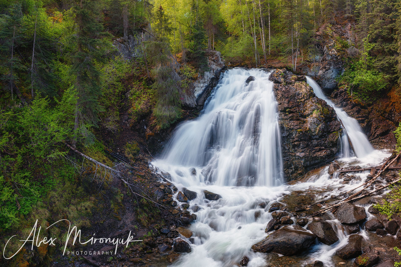 Magnificent Ice. Alaska on RV. Pet, Senior, Landscape, portrait studio, photographer in Miami and Sou