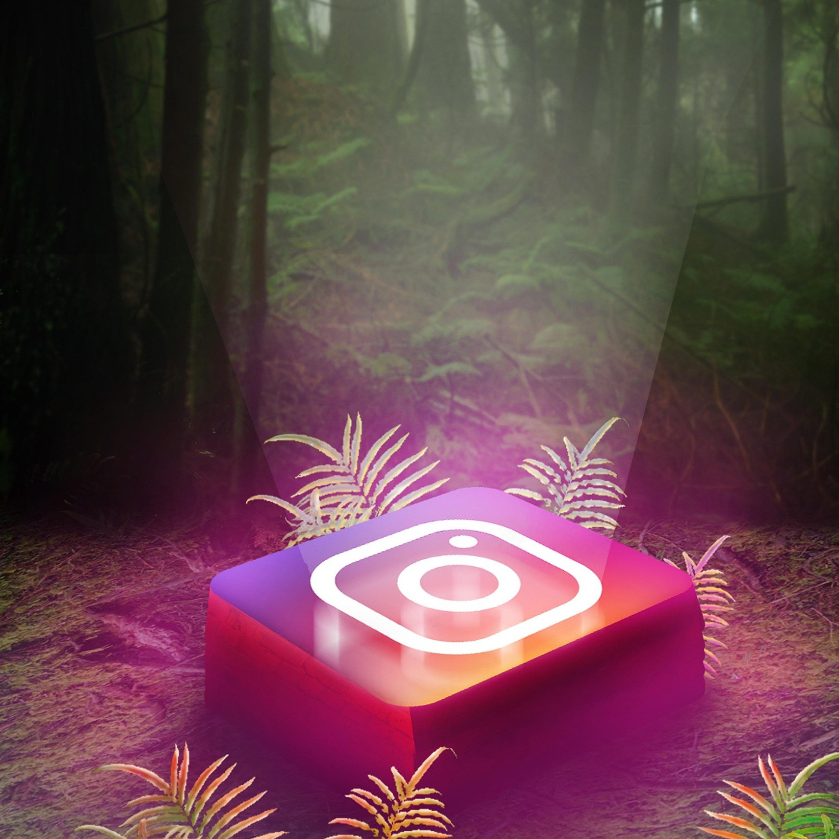 Despre Fotograf Cătălin Lazăr — Profesionist Evenimente. Cătălin Lazăr Photography — Fotografie de nuntă și evenimente premium în România și Europa