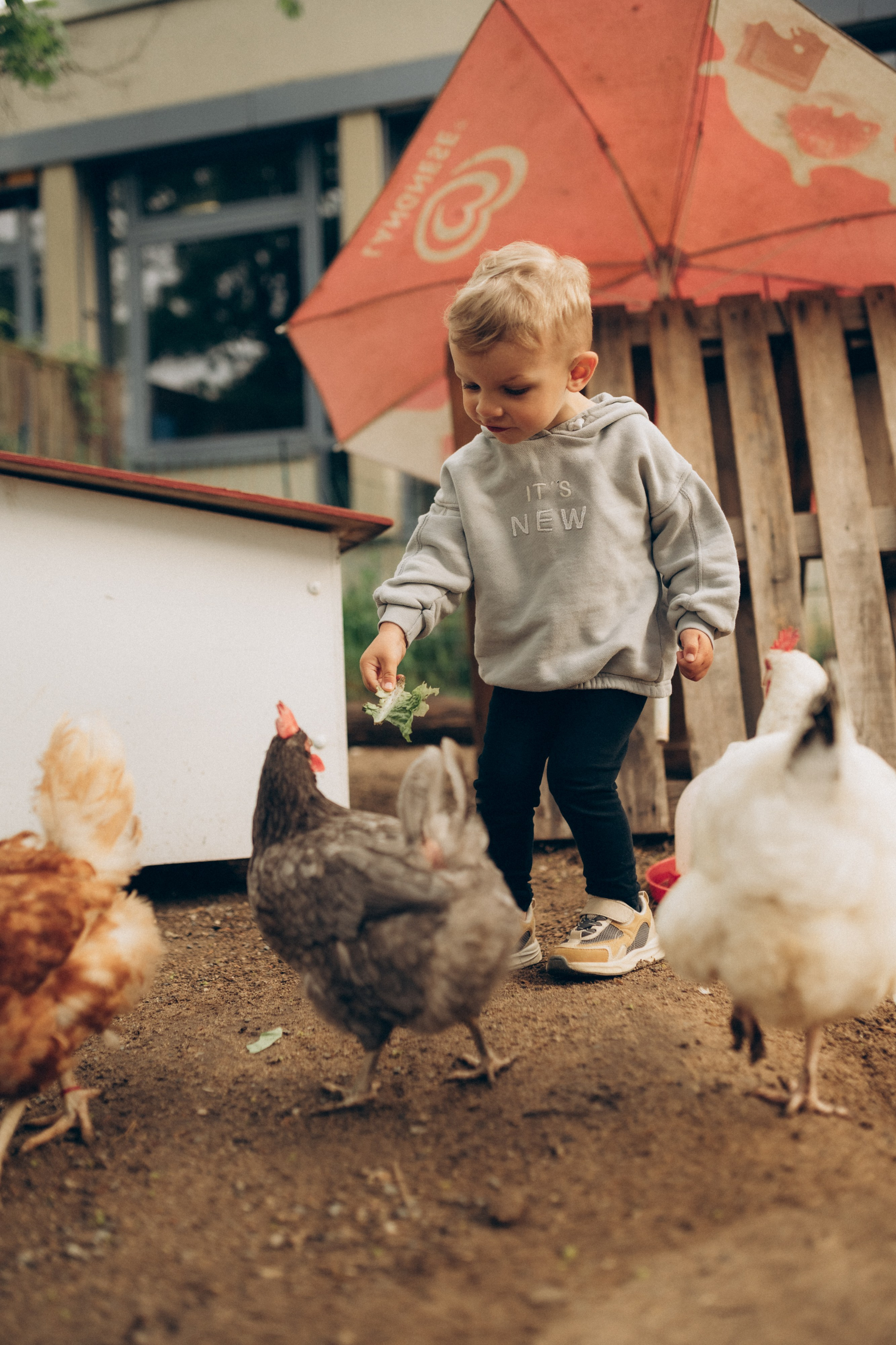KITA PREISLISTE. Anna Saribekyan – Beste Hochzeitsfotografin in Würzburg, Top 10 in Deutschland