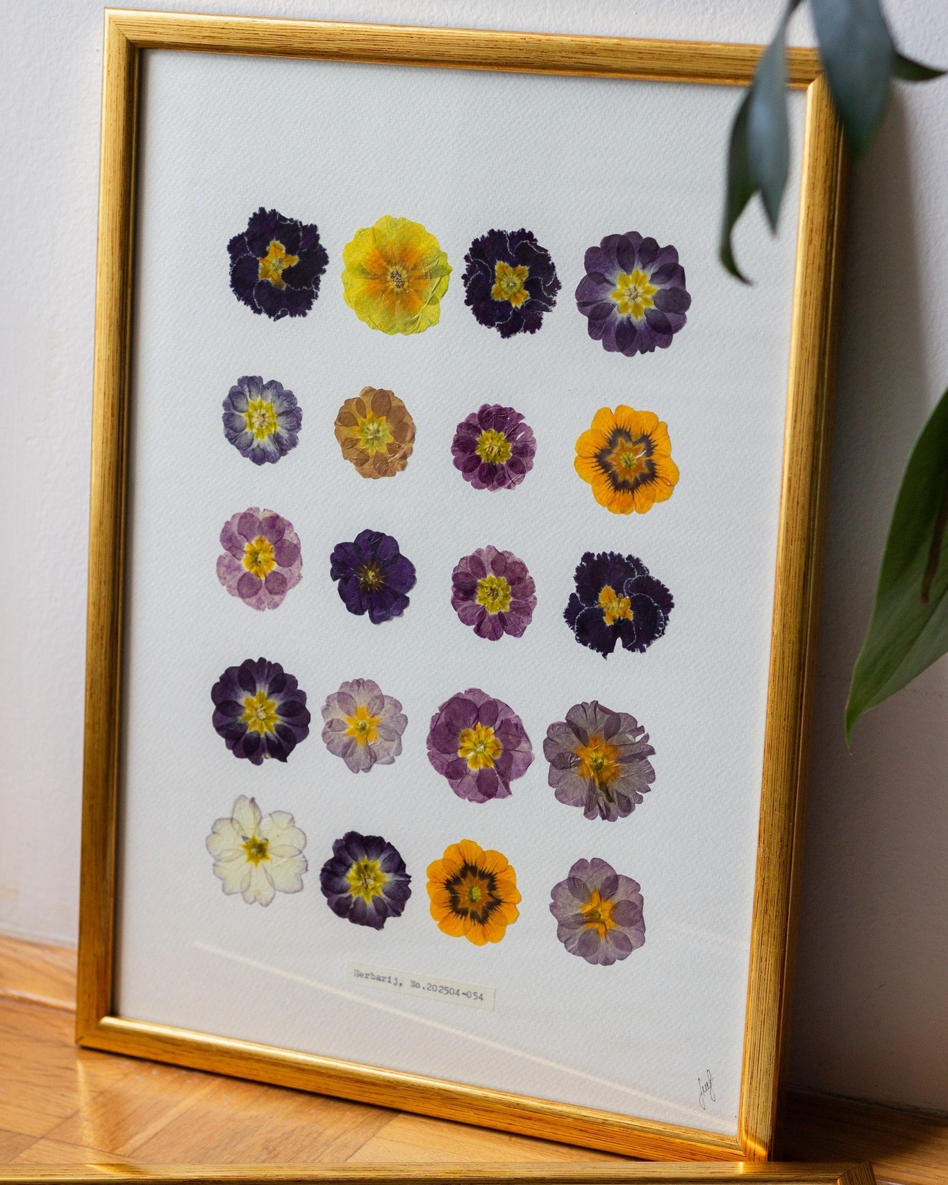 Suradnja Herbarij studija i Međunarodnog simpozija bioloških usmjerenja. Herbarij studio