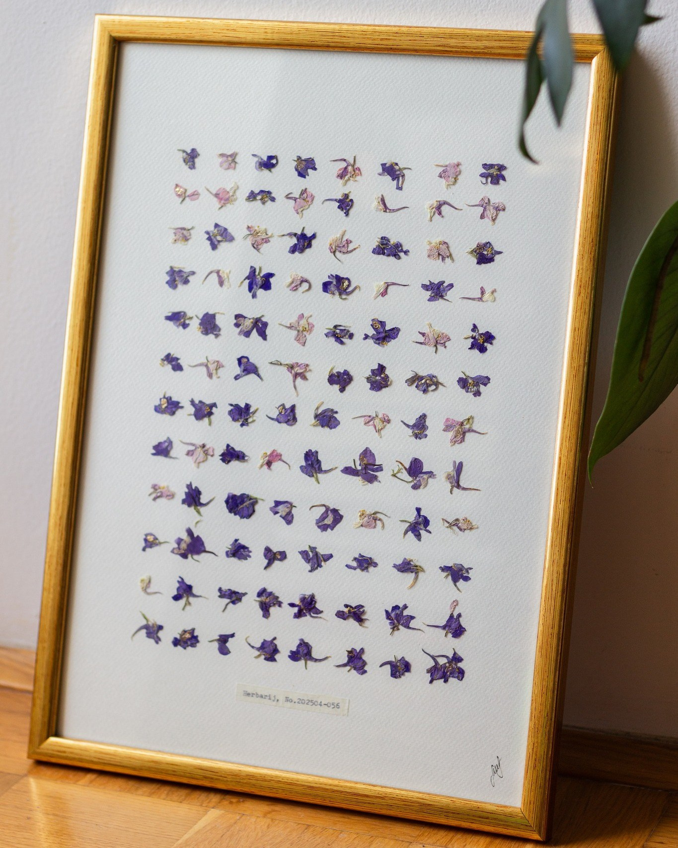 Suradnja Herbarij studija i Međunarodnog simpozija bioloških usmjerenja. Herbarij studio