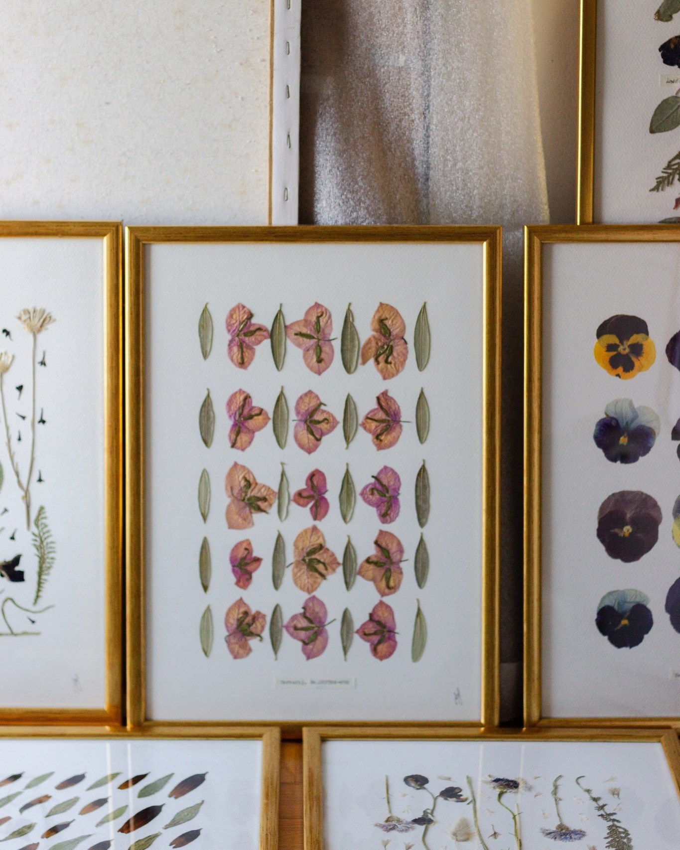 Suradnja Herbarij studija i Međunarodnog simpozija bioloških usmjerenja. Herbarij studio