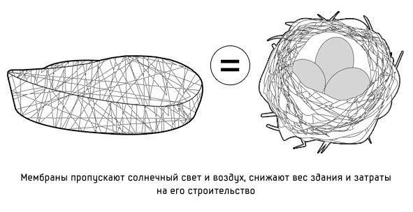 Стадион "Птичье гнездо" – самая крупная в мире конструкция из стали