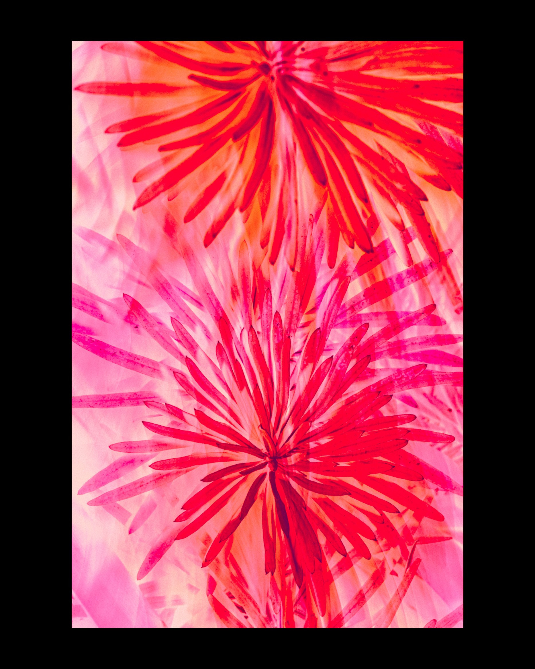ARTDOC MAGAZINE Online Exhibitions. Ekaterina Tsurkina-Appina Photography Canada