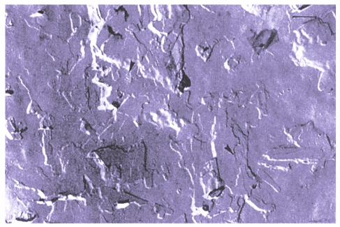 Korneotherapie. Kosmetikstudio Victoria Becker