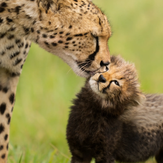 AWARDS AND RECOGNITIONS | AKHIL VINAYAK MENON PHOTOGRAPHY. Akhil Vinayak Menon Photography