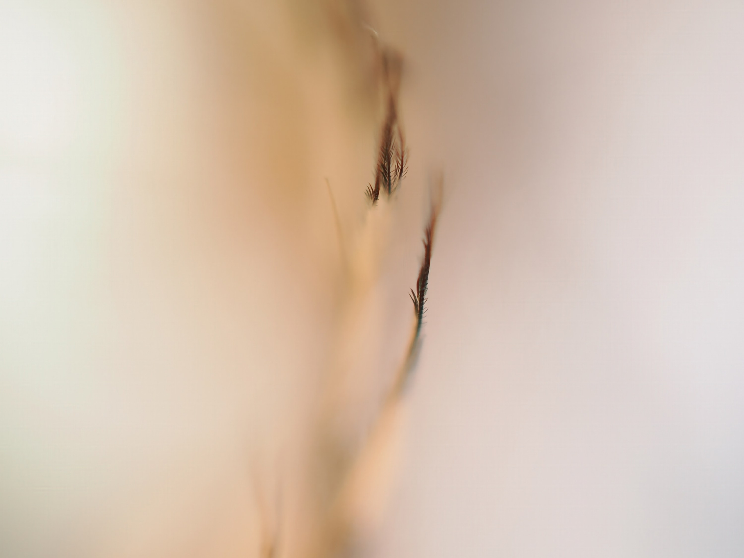 About the Artist. Tessa Matuza | Constructed Fine Art Photographer & Mixed Media Artist