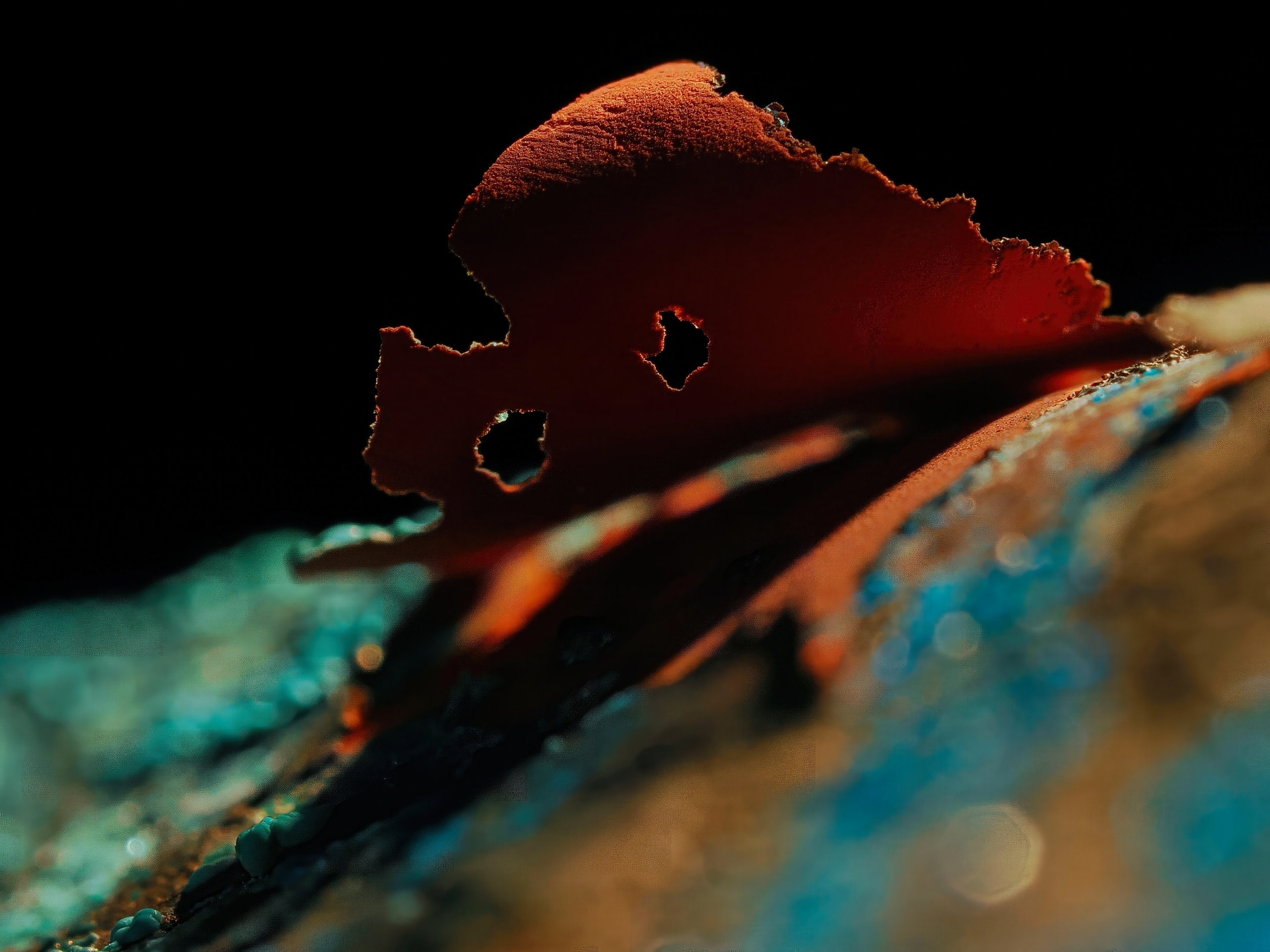 About the Artist. Tessa Matuza | Constructed Fine Art Photographer & Mixed Media Artist