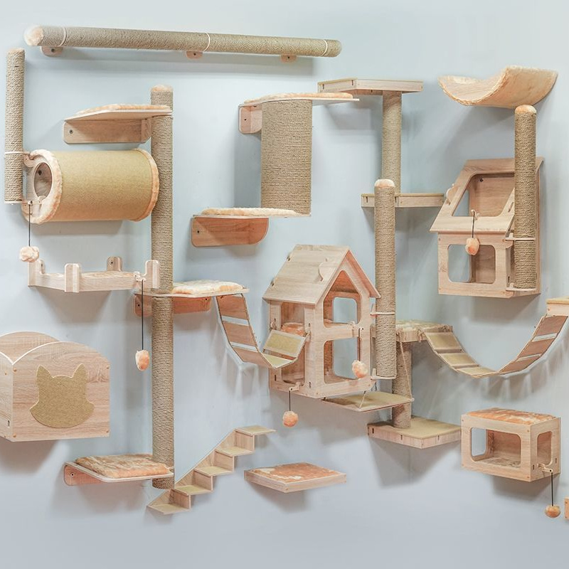 How everything is arranged in our cattery. A cattery of Canadian Sphynx breed, located in Limassol, Cyprus