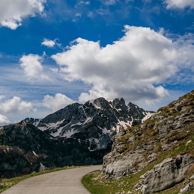Nationale Parken van Montenegro: Verken Natuurlijke Schoonheid