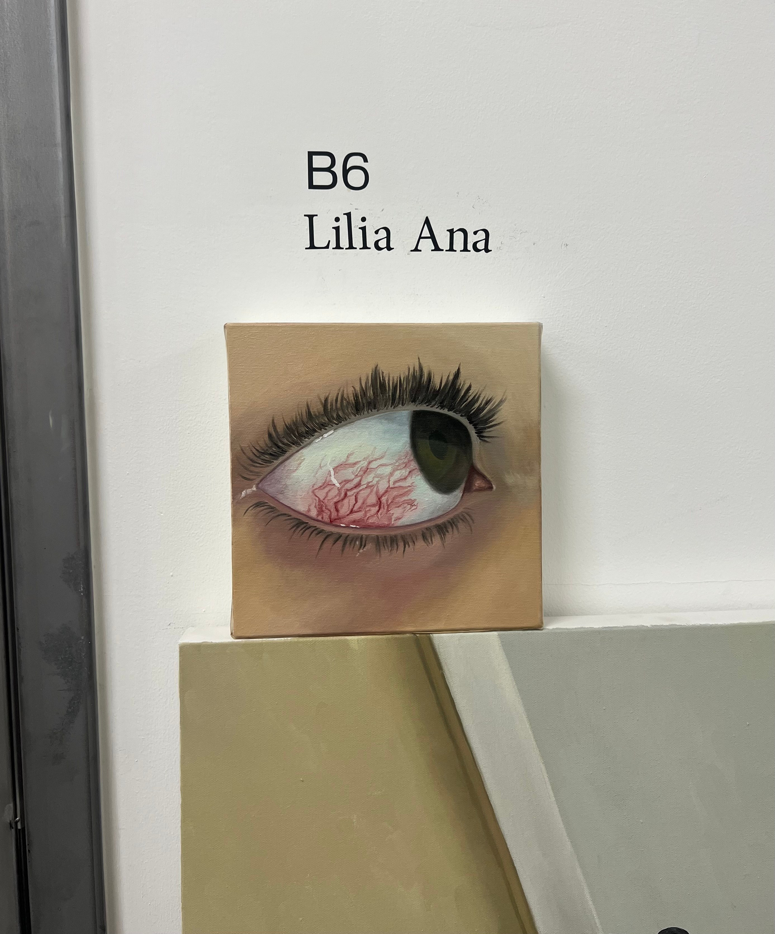 PAINTINGS. Contemporary artist in New York City Lilia Ana