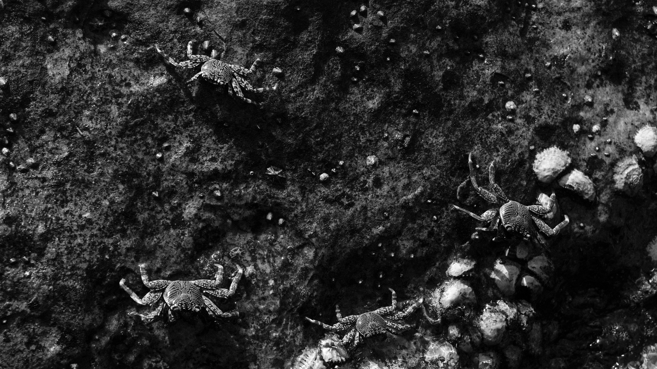 Echolith. Nature art photography by Petr Nabutov