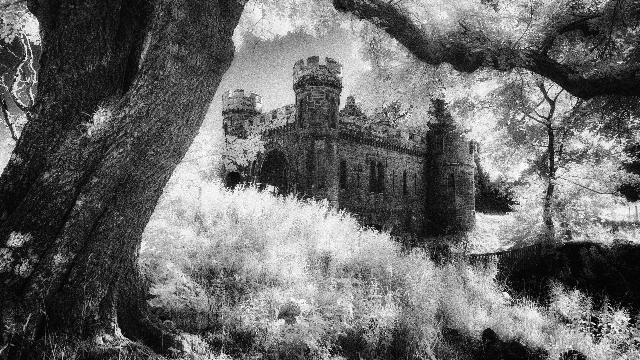 Welcome. Infrared Scotland