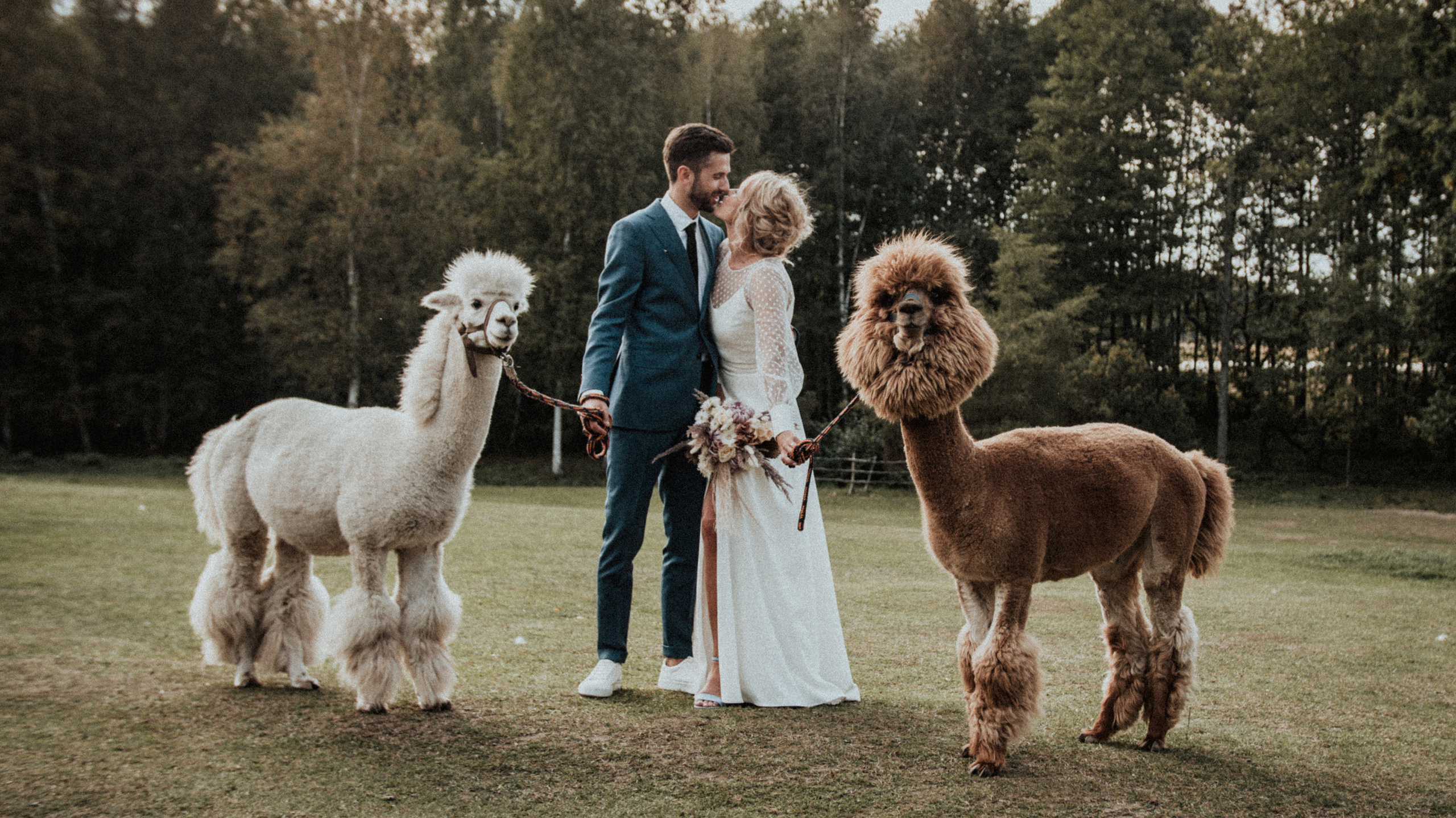 Photography. Authentic Wedding Videography