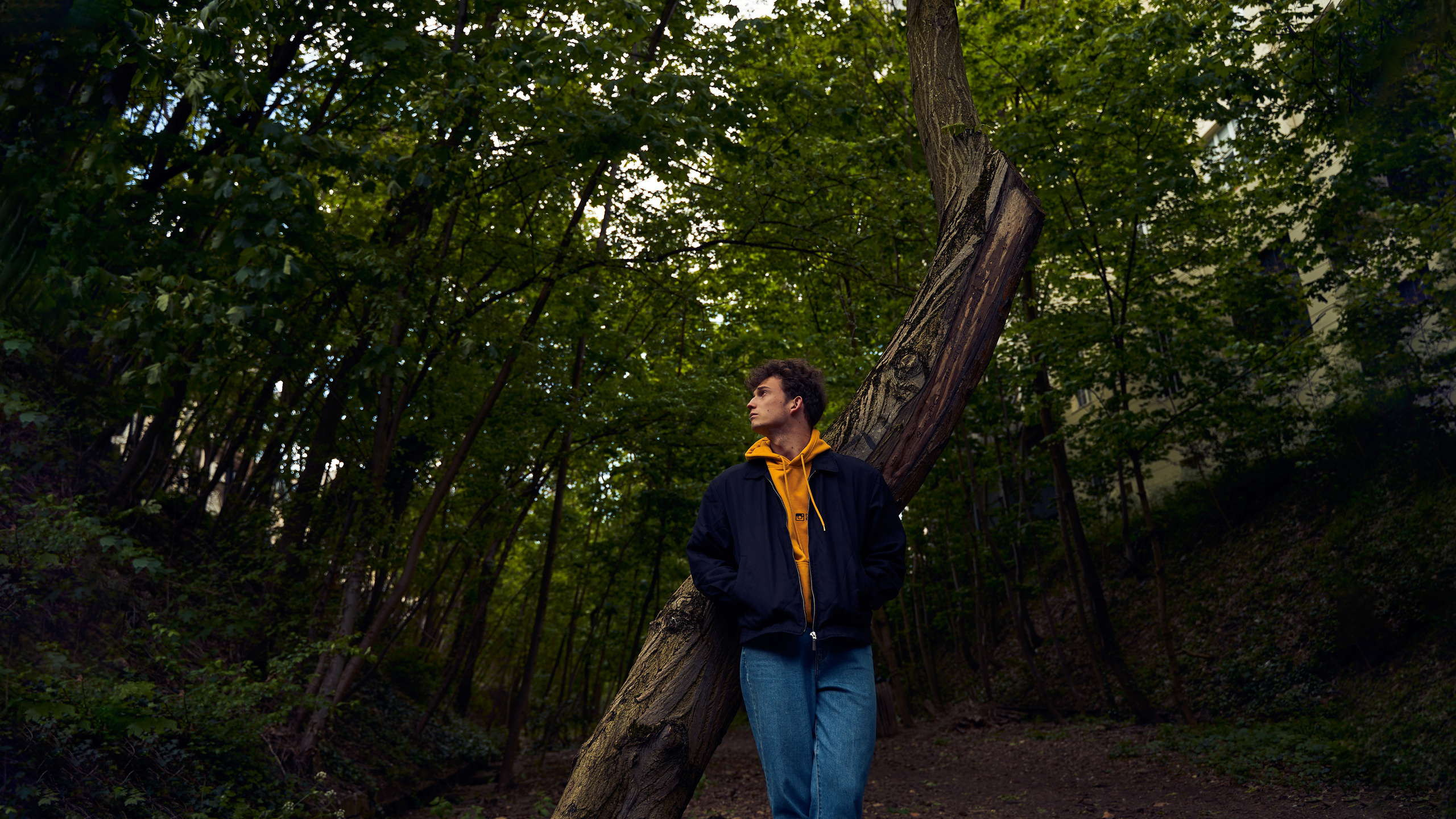 Denshyr — Visual Artist