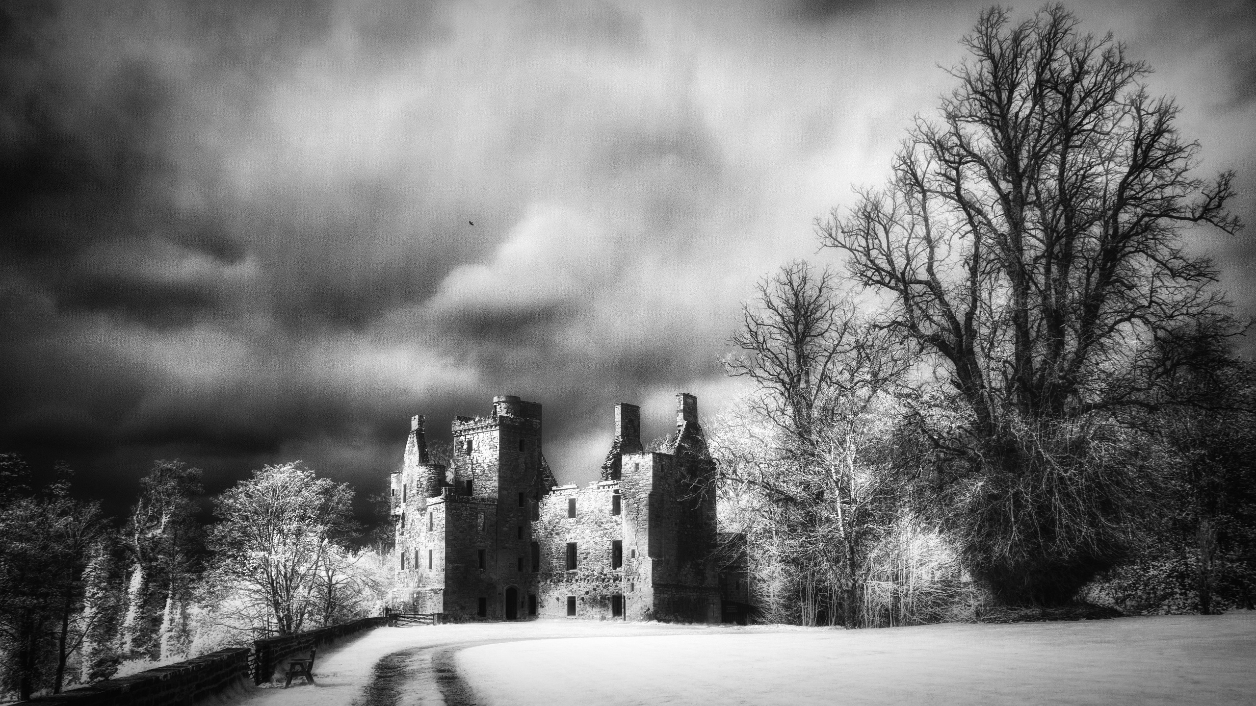 Welcome. Infrared Scotland