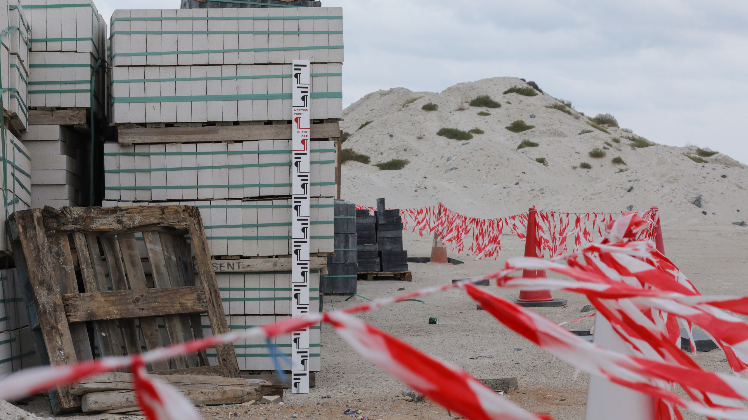 Daria Goncharova / Conceptual artist