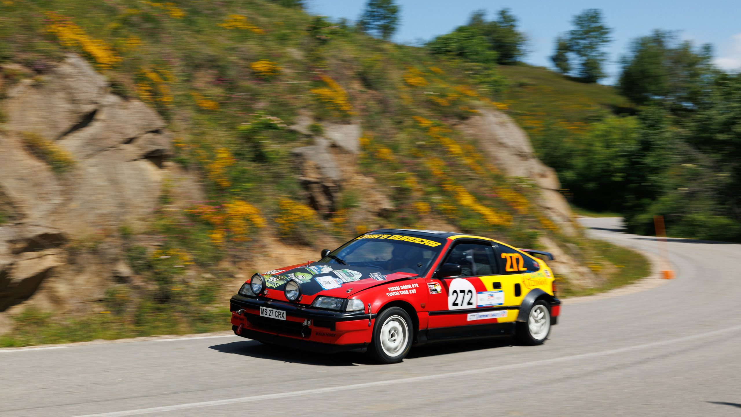 Services. Sports Photographer Brasov