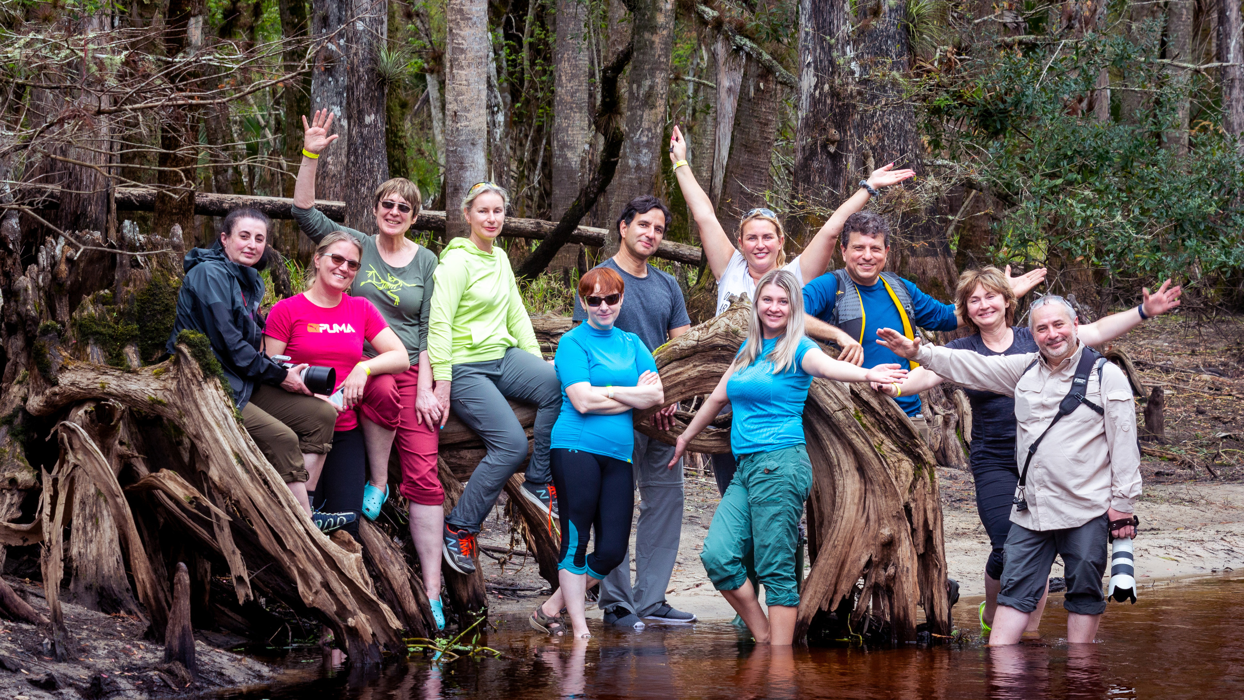 Alligators, Birds And Cypress. Alex Mironyuk Photography
