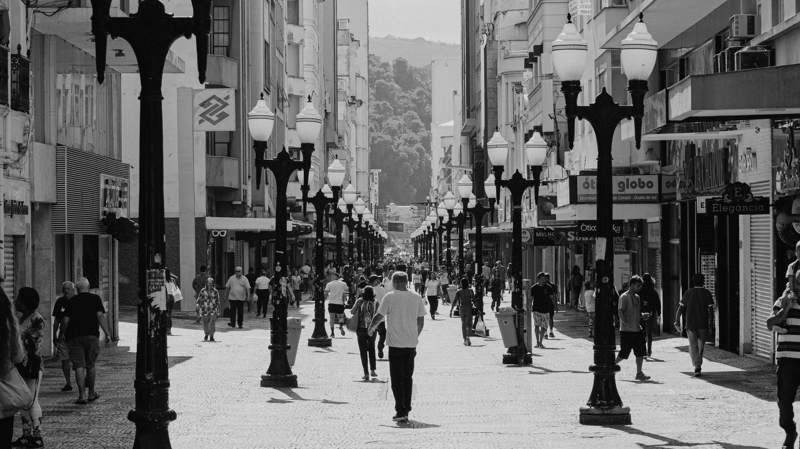 Contato. Caio Almeida