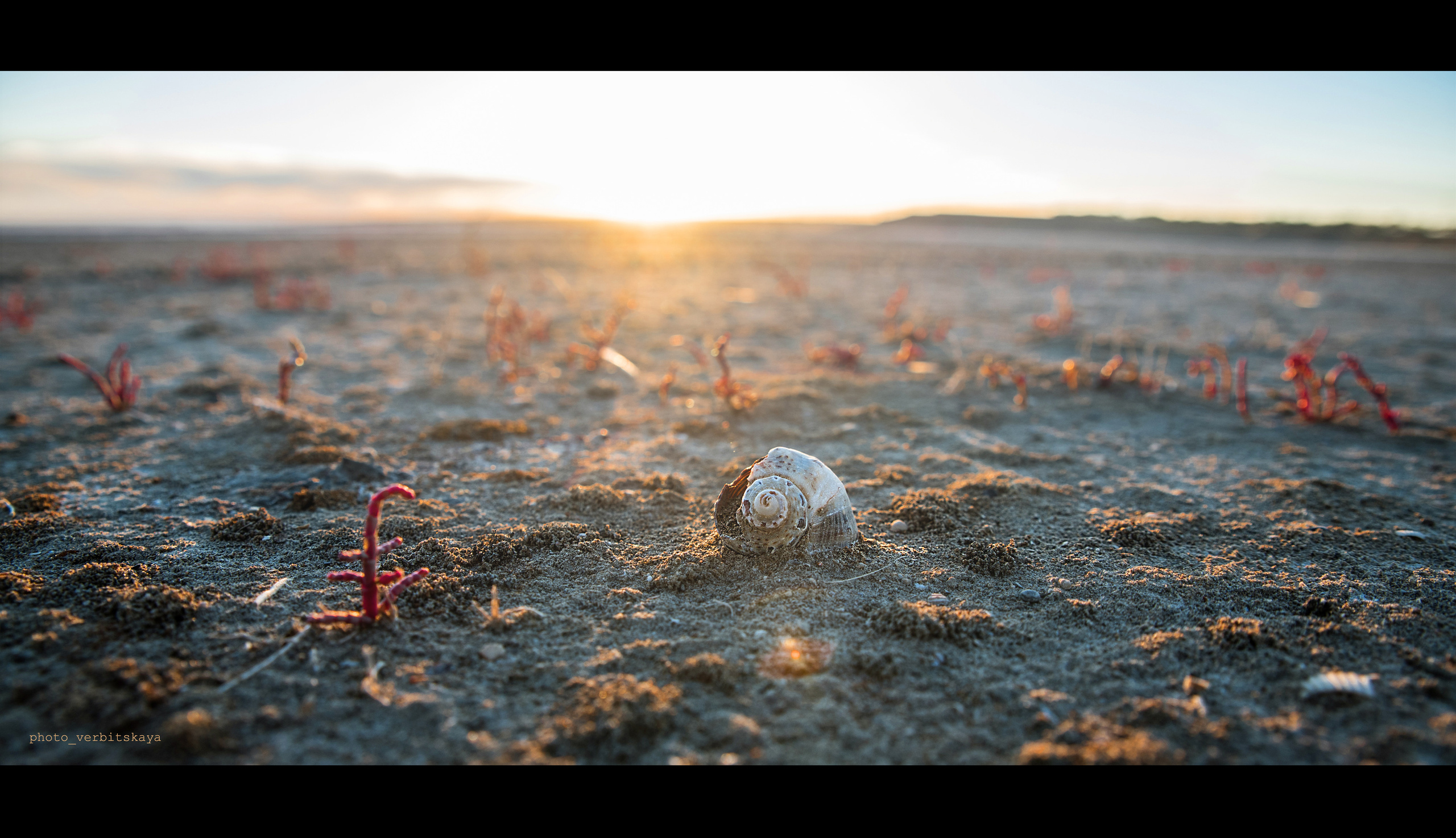 Silence. Ekaterina Verbitskaya. Photography
