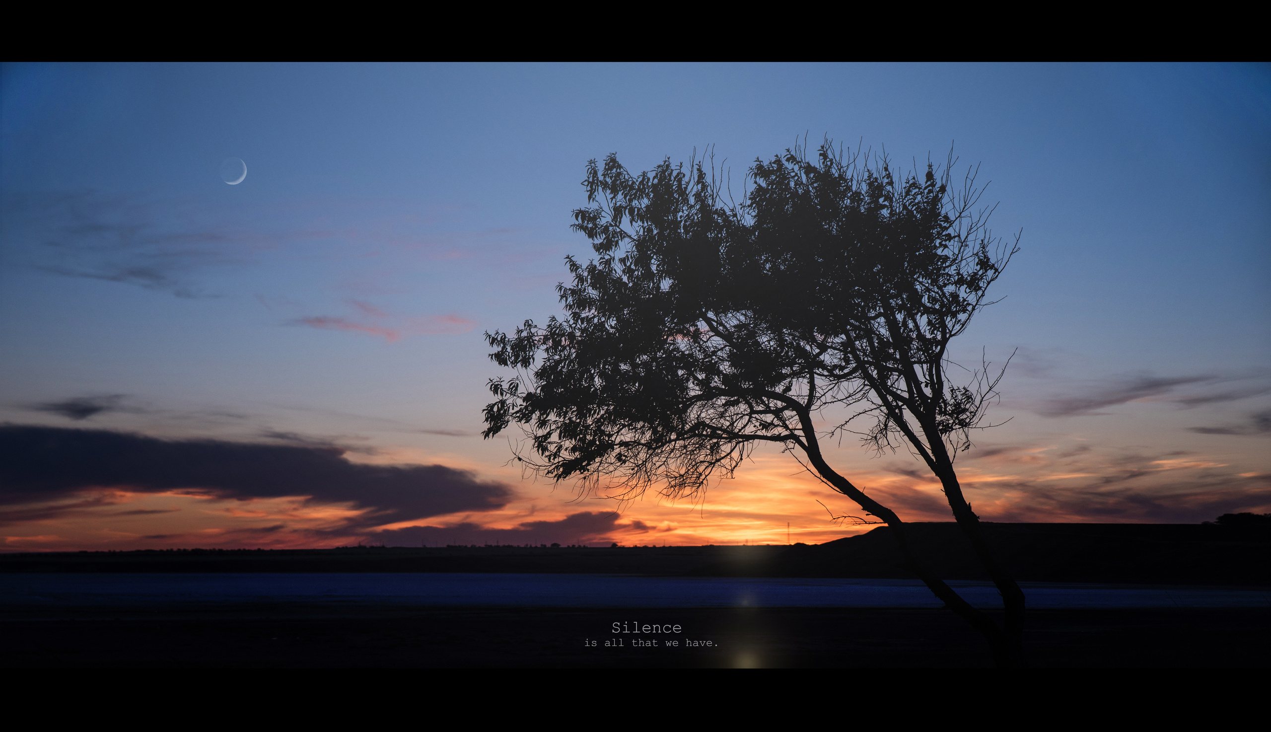 Silence. Ekaterina Verbitskaya. Photography