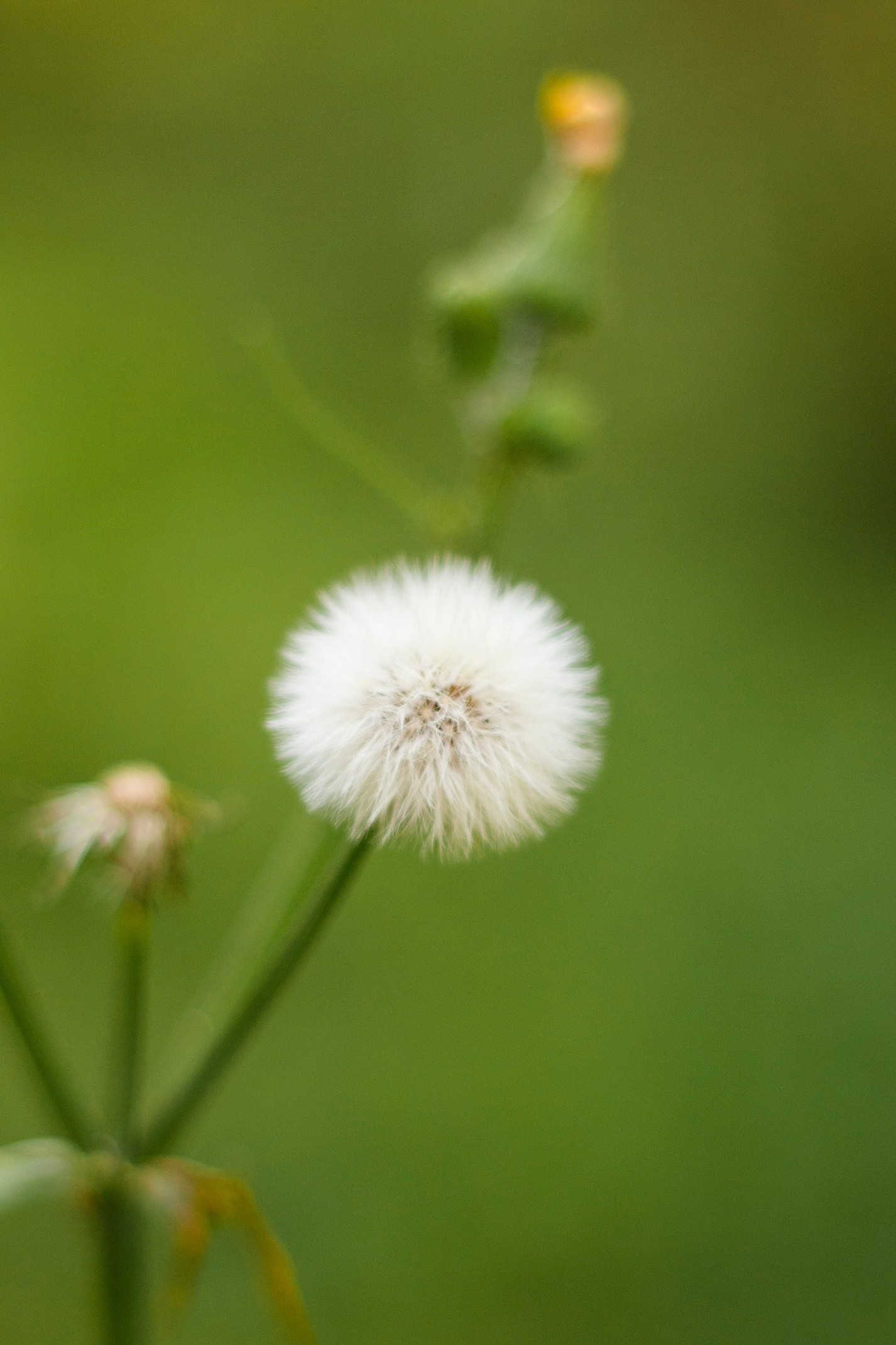 Lumiere Filmes e Fotos