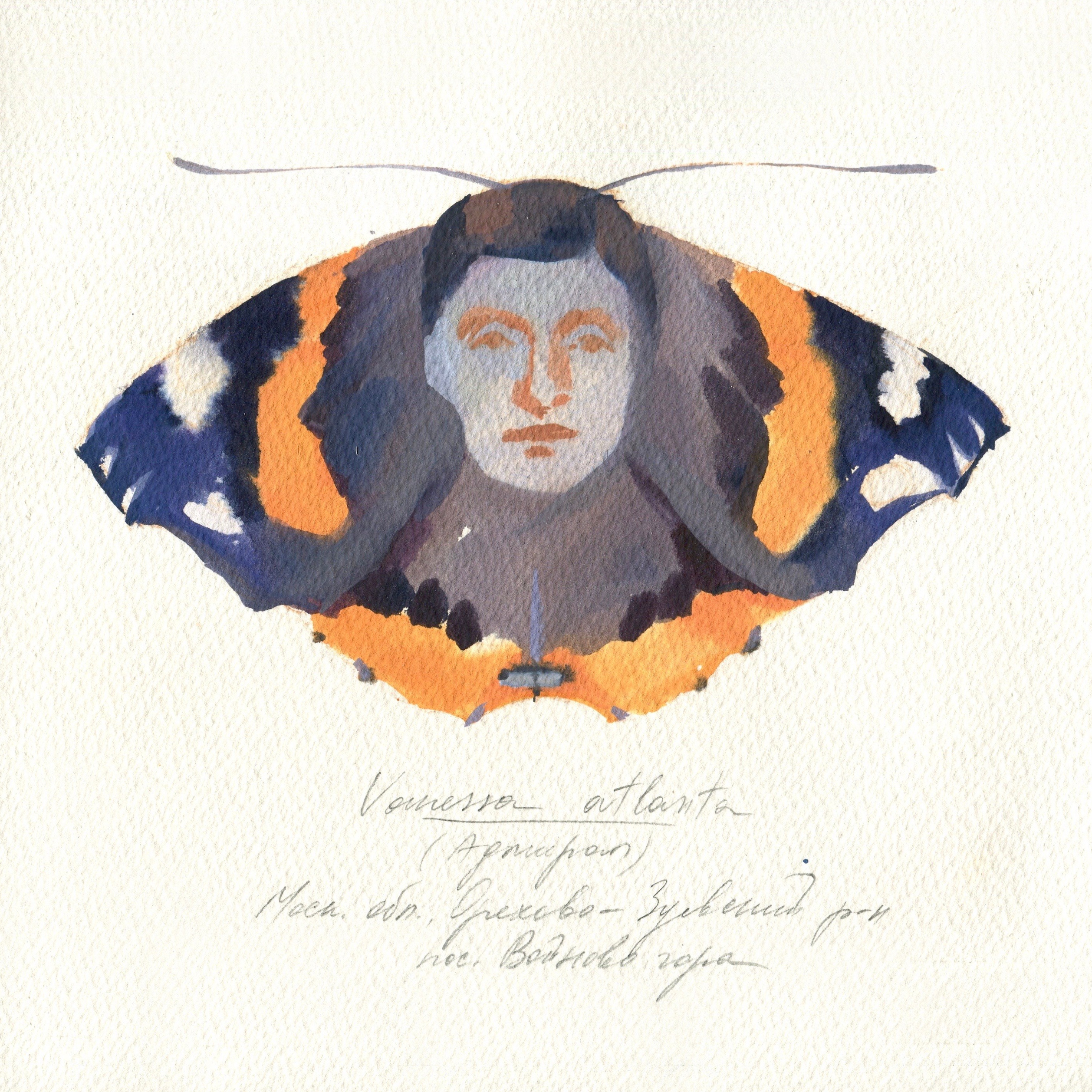 Filing System. Alina Kugush