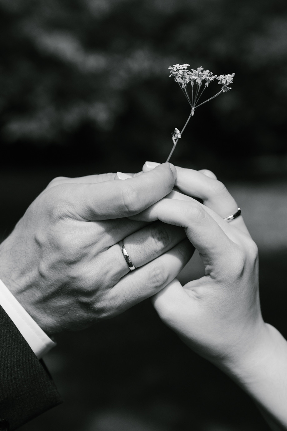 Wedding photographer in Munich in Standesamt Schloss Suresnes. Inna Zaytseva Photography | Photographer in Munich | Content Creation