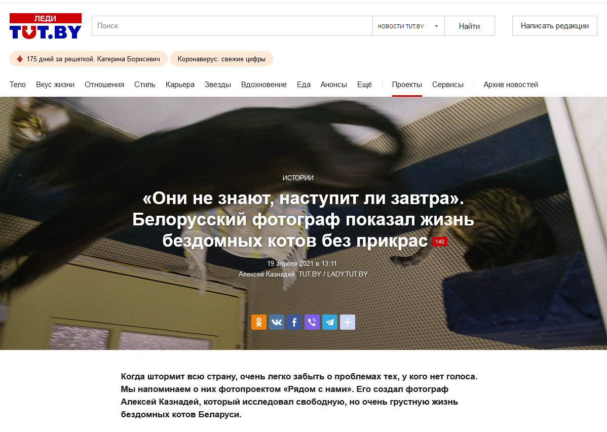 Фотоистория о бродячих котах опубликована на портале tut.by