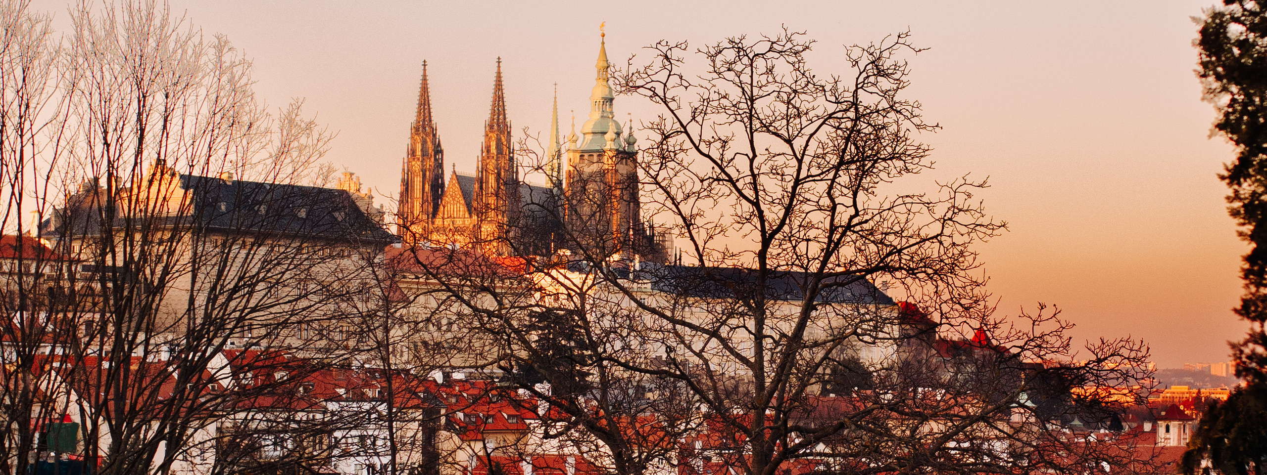 Contact. Photographer in Prague for tourists
