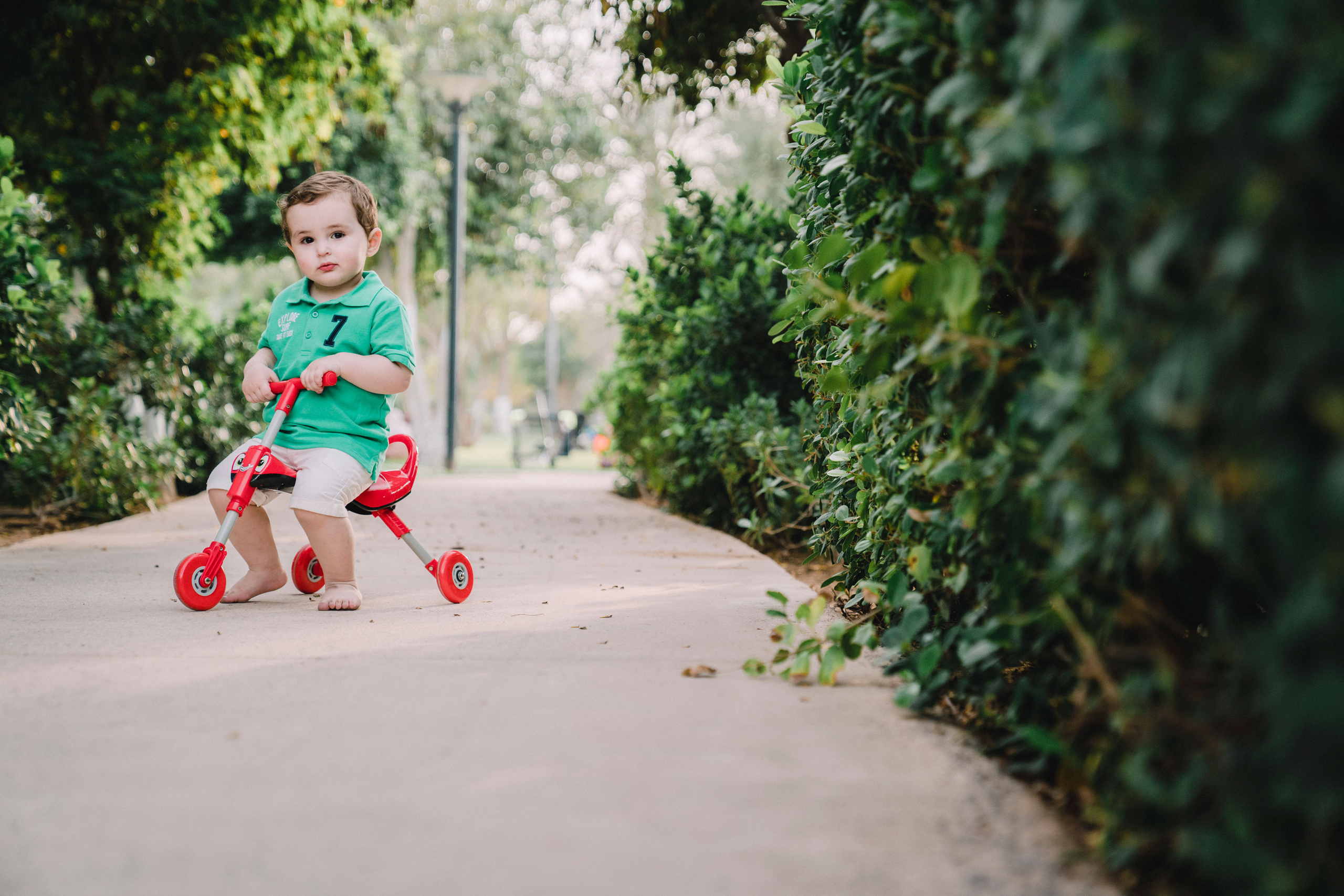 Little boy riding a bicycle in a park