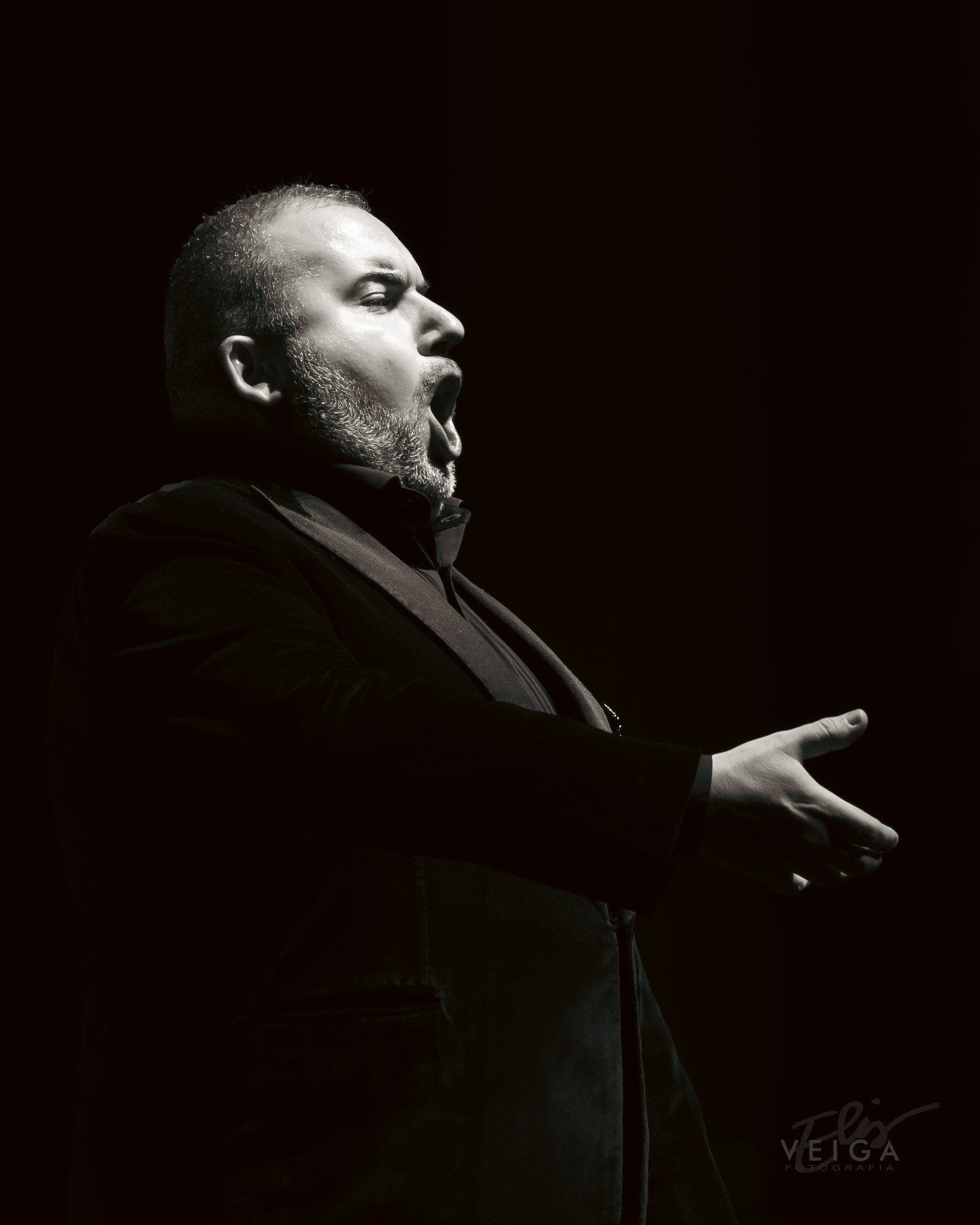 La música clásica como protagonista. Elisveiga