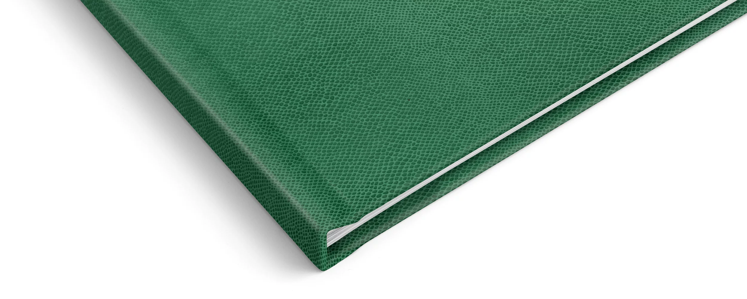 Photo Book covers. Photographer in England Ekaterina Romanova