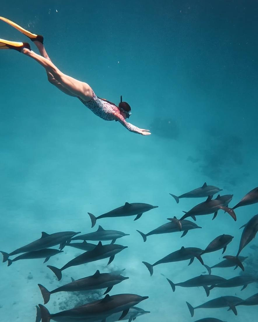 NEW Путешествие к дельфинам, октябрь 2026. Семейные лагеря в Европе с Ниной Янечковой и Ириной Зиновьевой