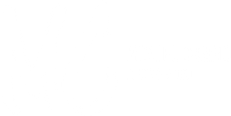 miguelcarmo.wfolio.pro