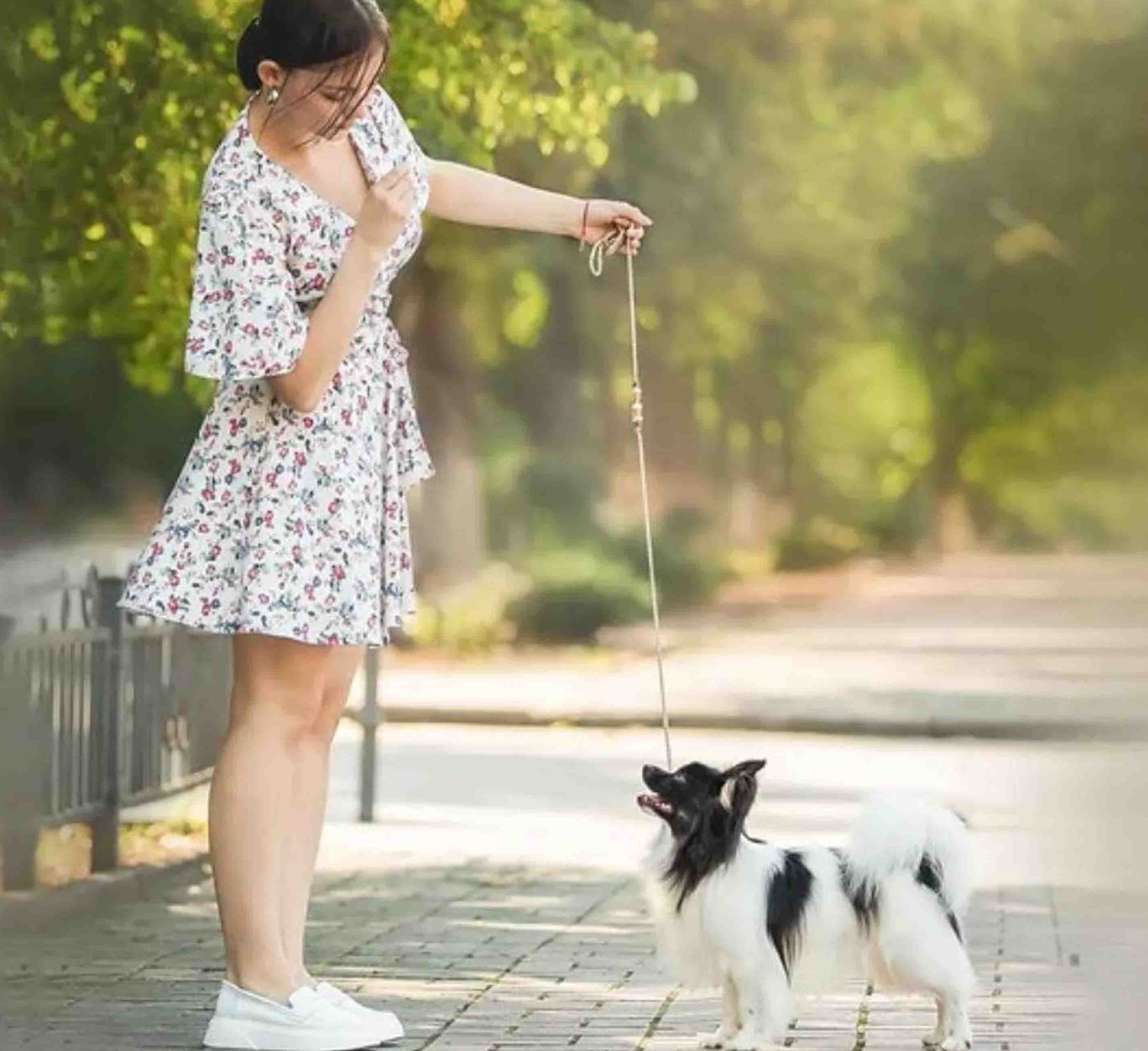Програма «Хендлер». Репортажний фотограф/анімаліст КИЇВ